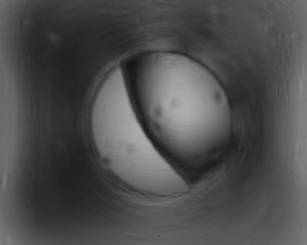 X0000096990015200802080928
