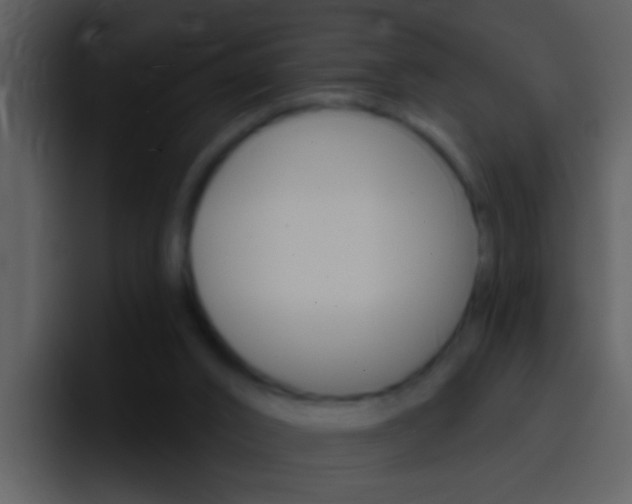 X0000096990016200802080928