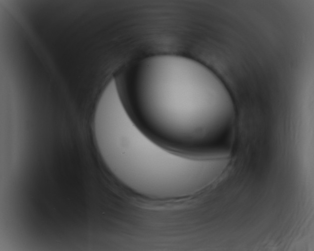 X0000096990017200802080928
