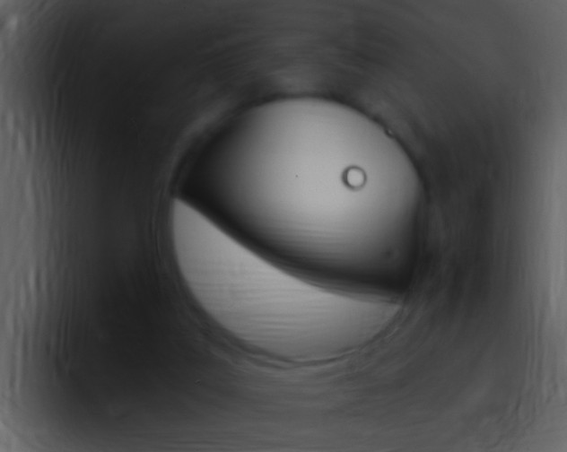X0000096990019200802080928