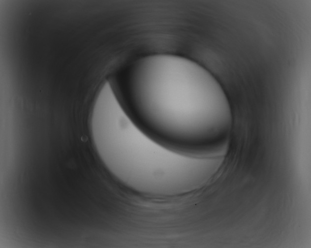 X0000096990021200802080928