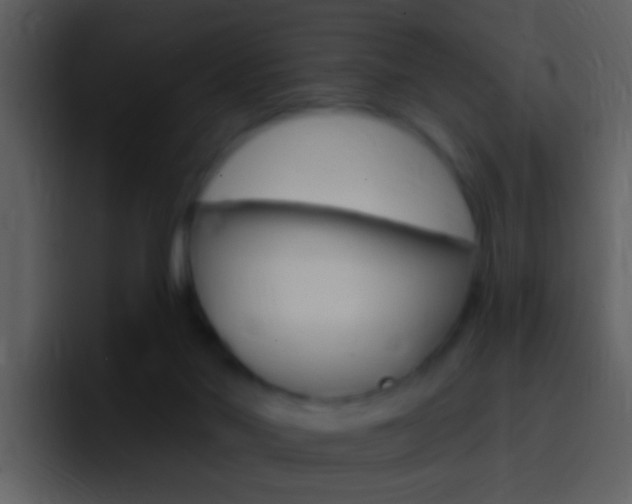X0000096990022200802080928