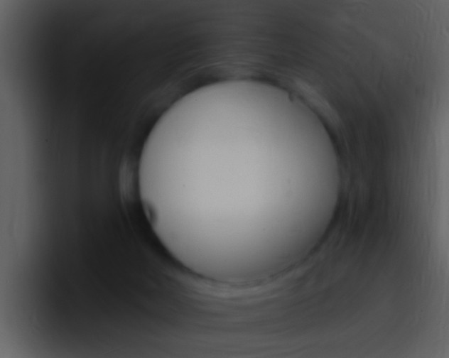 X0000096990026200802080928