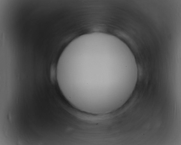 X0000096990028200802080928