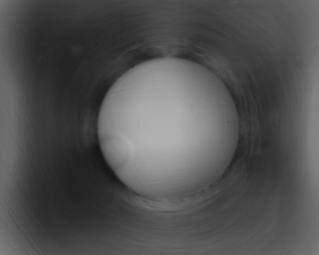 X0000096990030200802080928