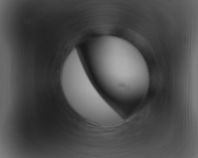 X0000096990031200802080928