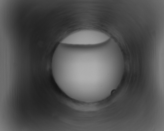 X0000096990032200802080928