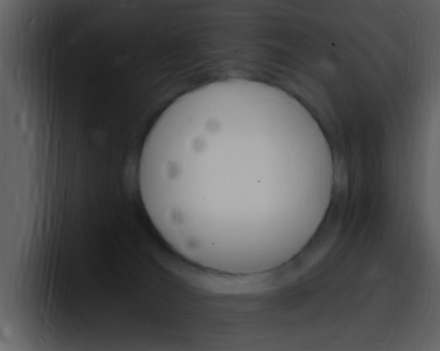 X0000096990036200802080928