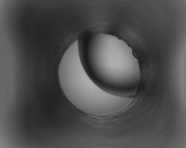 X0000096990041200802080928