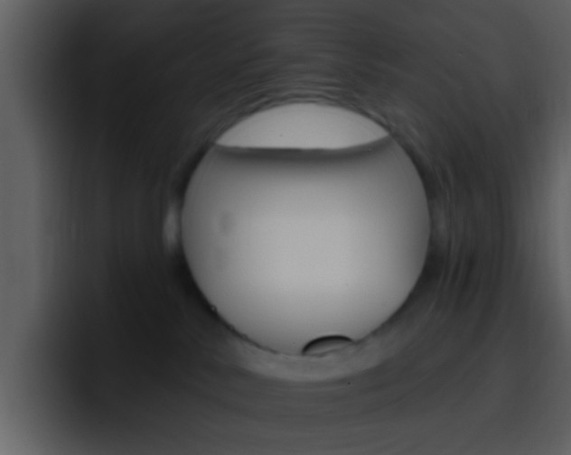 X0000096990042200802080928