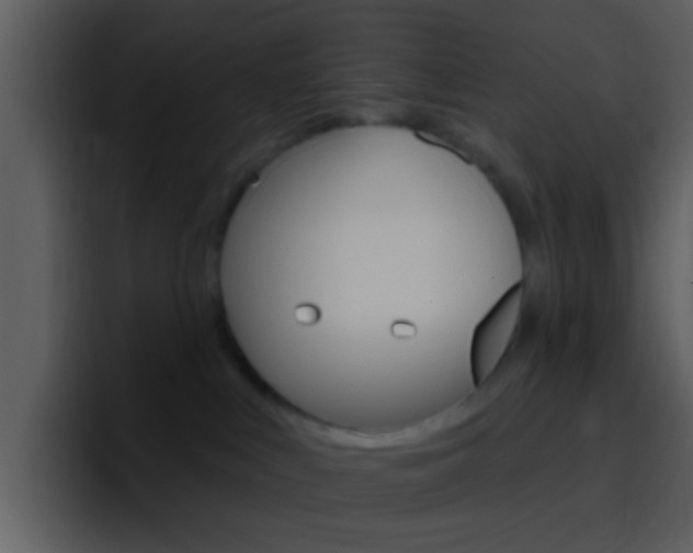X0000096990043200802080928