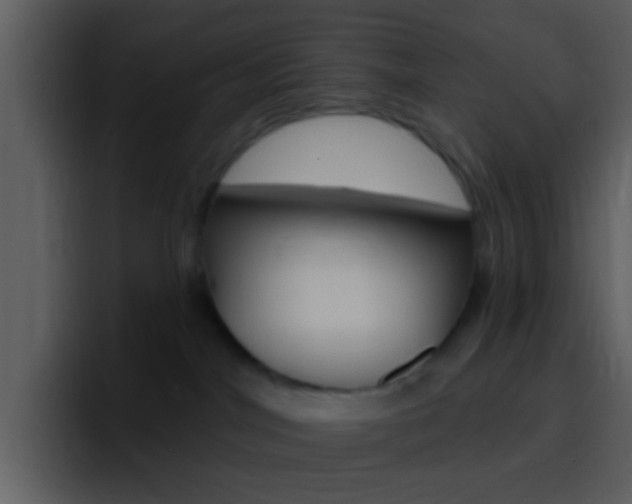 X0000096990044200802080928