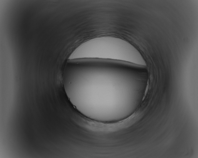 X0000096990048200802080928