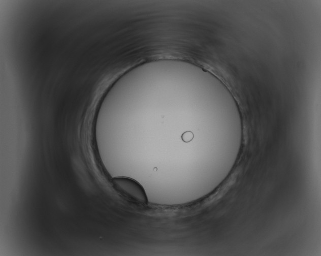 X0000096990049200802080927
