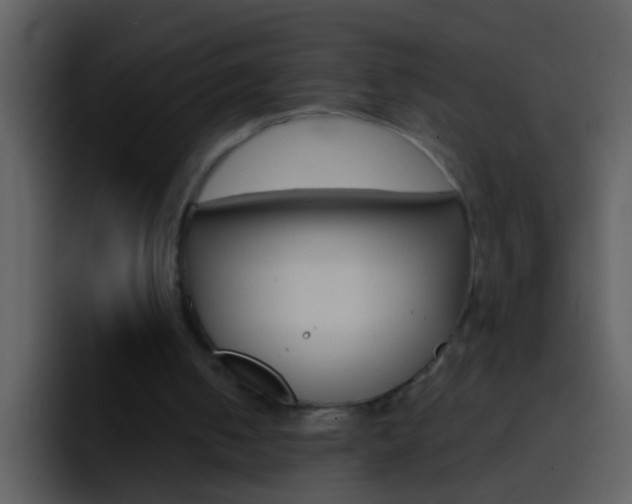 X0000096990050200802080927