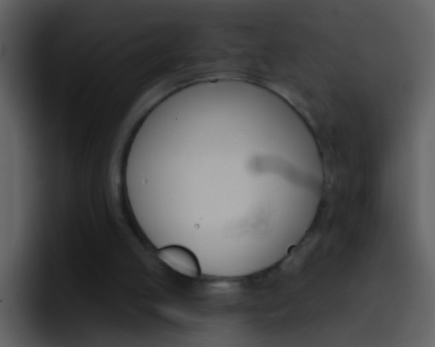 X0000096990053200802080927
