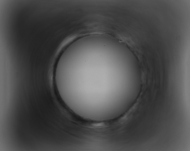 X0000096990054200802080927