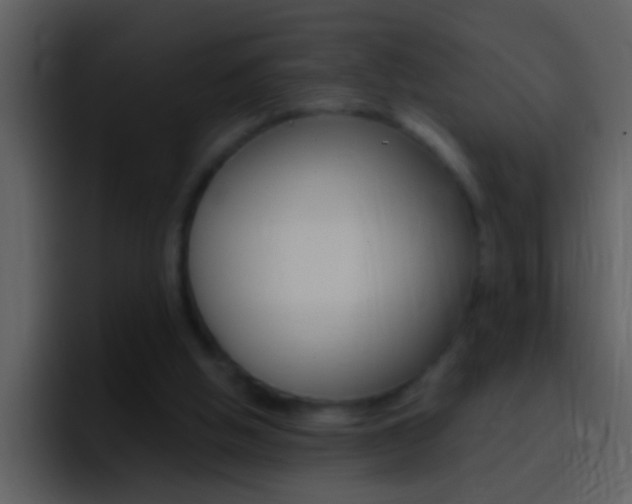 X0000096990058200802080927