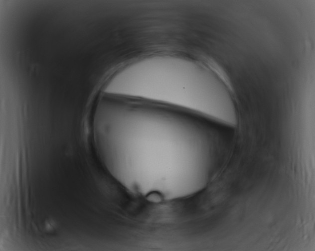 X0000096990059200802080927