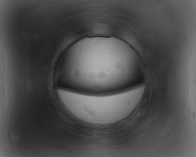 X0000096990060200802080927