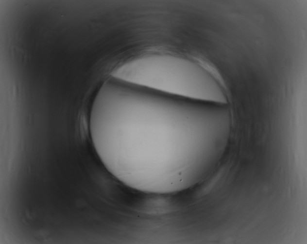 X0000096990061200802080927