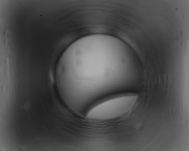 X0000096990062200802080927