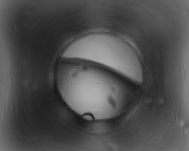 X0000096990063200802080927