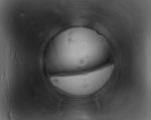 X0000096990064200802080927