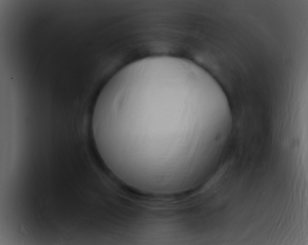 X0000096990066200802080928