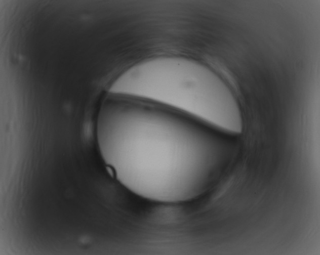 X0000096990067200802080928