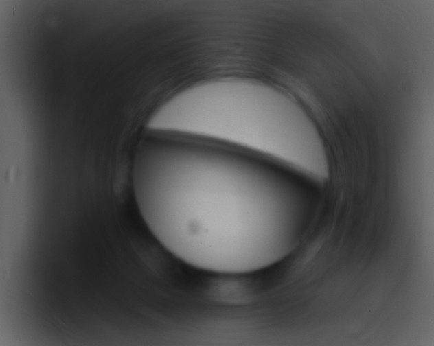 X0000096990073200802080928