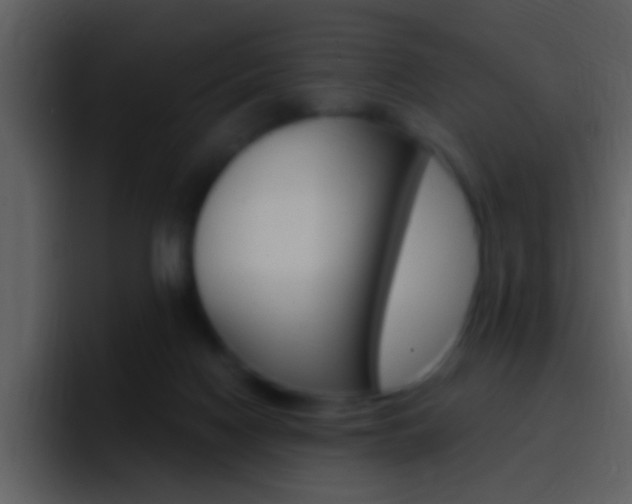X0000096990074200802080928