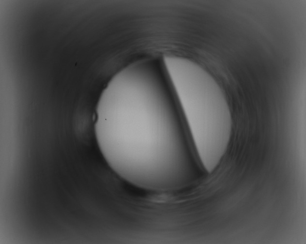 X0000096990079200802080928