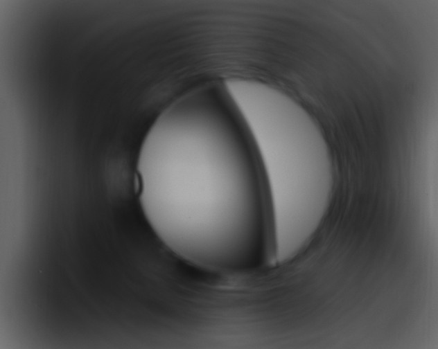 X0000096990080200802080928