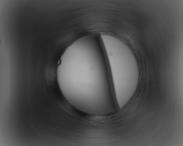 X0000096990081200802080928