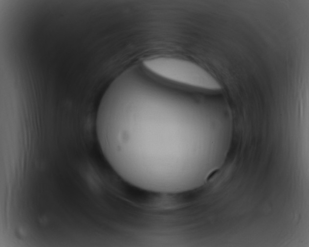 X0000096990082200802080928