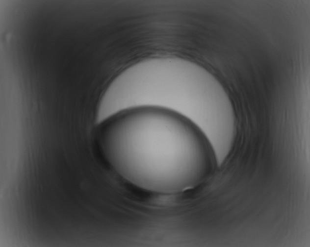 X0000096990084200802080928