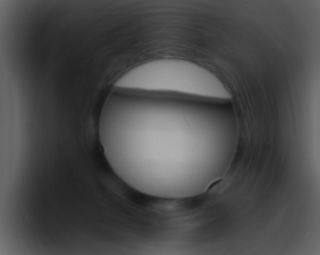 X0000096990086200802080928