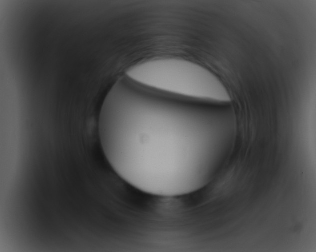 X0000096990087200802080928