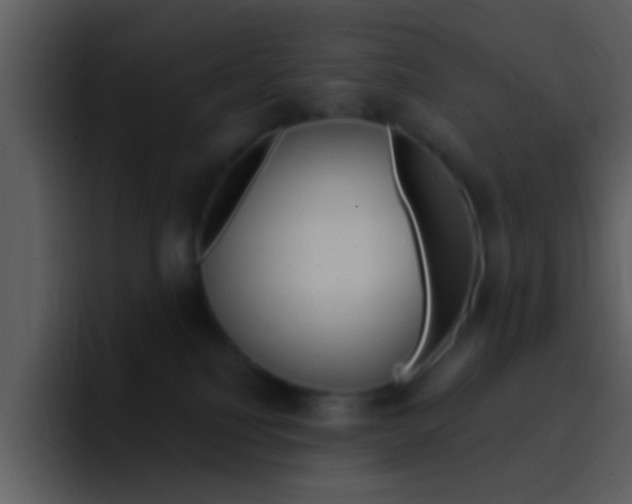 X0000096990088200802080928