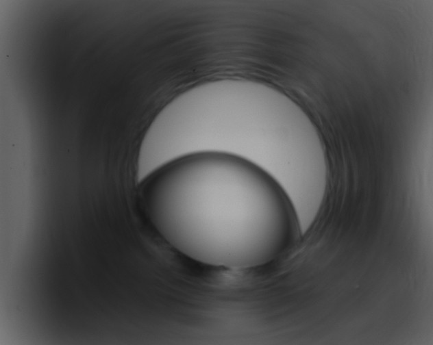 X0000096990092200802080928