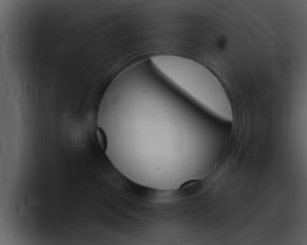 X0000096990093200802080928