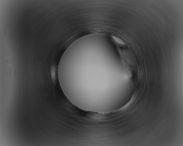 X0000096990094200802080928