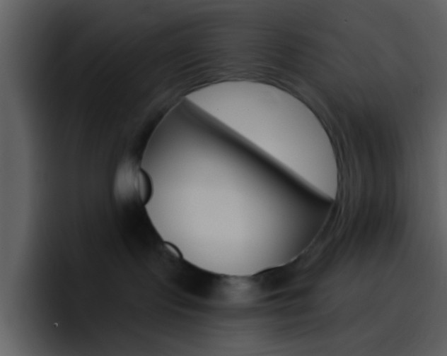 X0000096990095200802080928