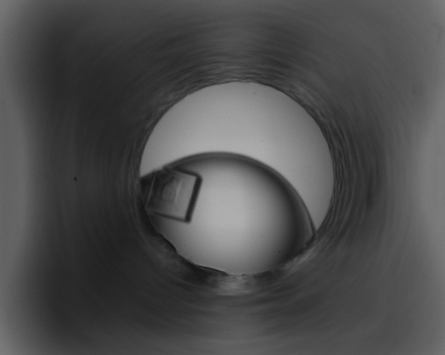 X0000096990096200802080928