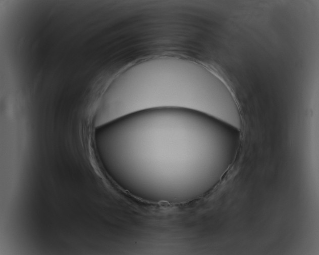 X0000096990097200802080927