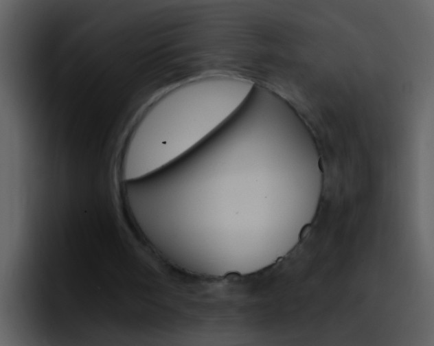 X0000096990098200802080927