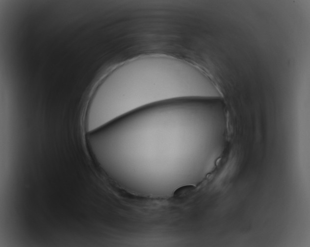X0000096990099200802080927
