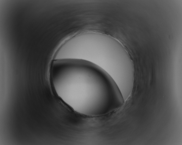 X0000096990100200802080927