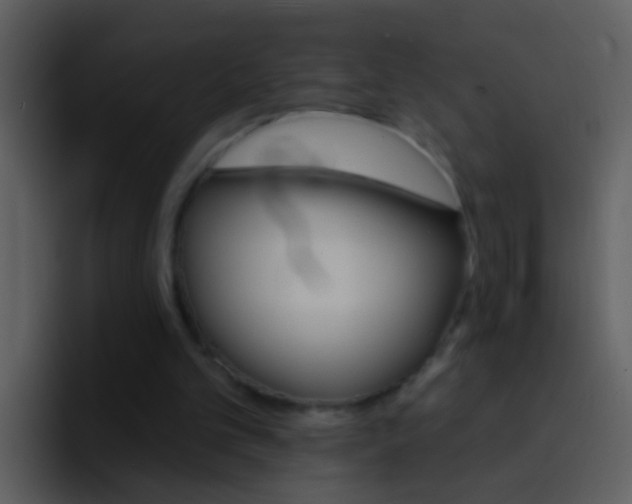 X0000096990101200802080927